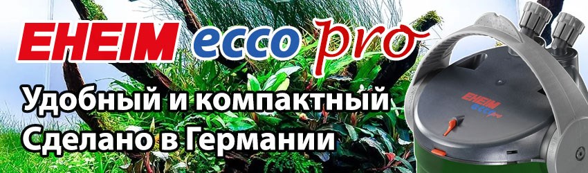 Внешние фильтры EHEIM Ecco pro по выгодным ценам