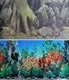 Фоны для аквариума