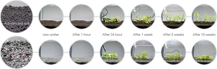 AQUAEL H.E.L.P. advanced soil Plants 3 литра - почвенный грунт для аквариумов с растениями 243872 - фото 17656