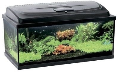 AQUAEL PAP 120 / 240л аквариум прямой, 120х40х50см 102959 - фото 17837