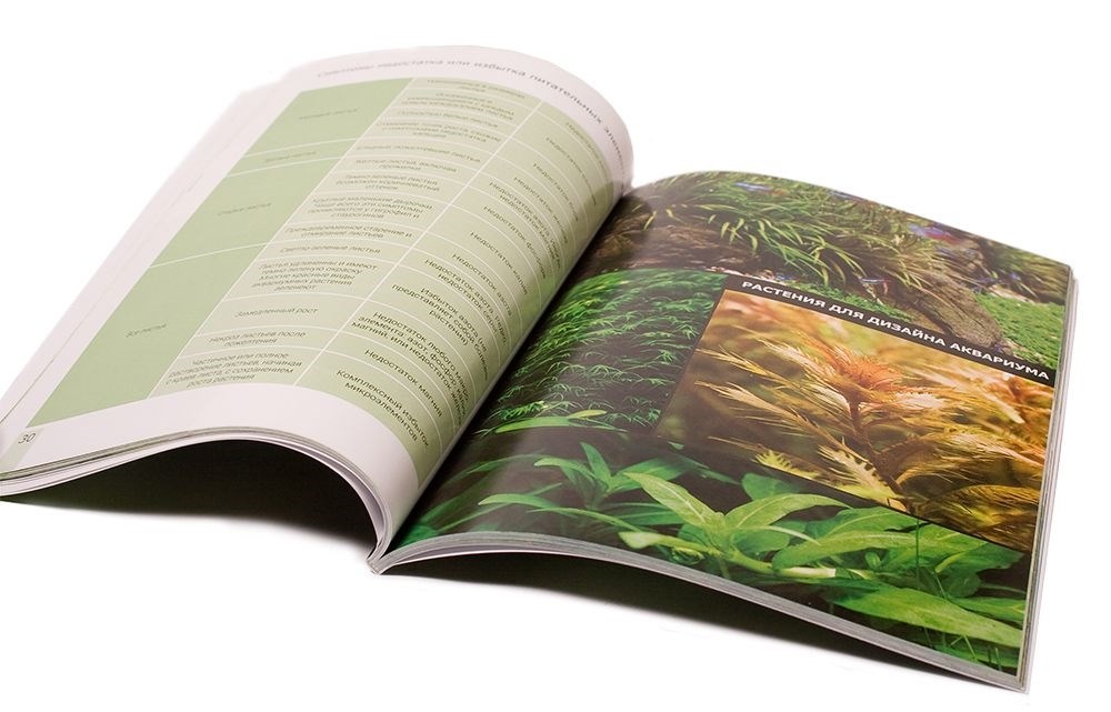 Aquayer - книга Сергея Ермолаева "Растительный аквариум. Азы и тонкости содержания растений в аквариуме" ABook1 - фото 18407