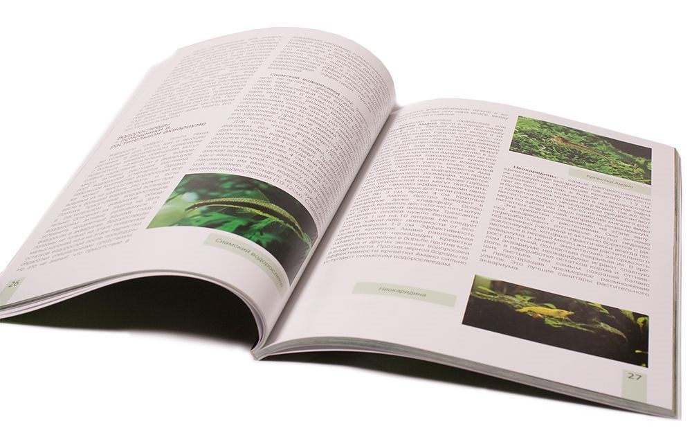 Aquayer - книга Сергея Ермолаева "Растительный аквариум. Азы и тонкости содержания растений в аквариуме" ABook1 - фото 18408