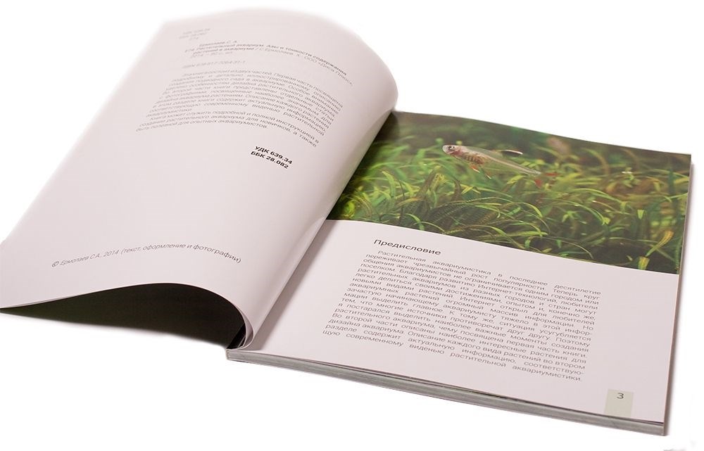 Aquayer - книга Сергея Ермолаева "Растительный аквариум. Азы и тонкости содержания растений в аквариуме" ABook1 - фото 18409