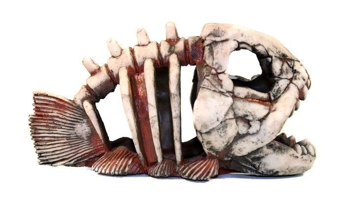 Deksi - Скелет рыбы №901 - 22х14х11 см 901d - фото 18622