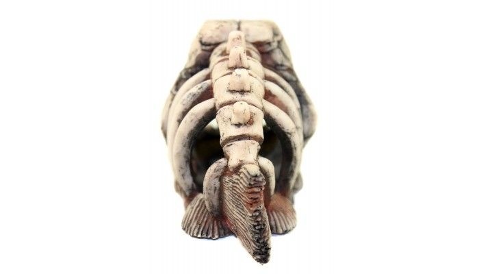 Deksi - Скелет рыбы №901 - 22х14х11 см 901d - фото 18623