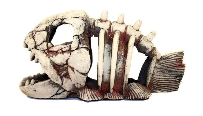 Deksi - Скелет рыбы №901 - 22х14х11 см 901d - фото 18624