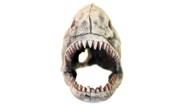 Deksi - Скелет рыбы №904 - 44х20х17 см 904d - фото 18638