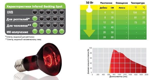 Hagen Exoterra Infrared Baskimg Spot 50 Вт - лампа для ночного освещения PT-2141 - фото 19361