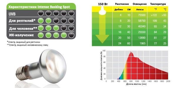 Hagen Exoterra Intense Baskimg Spot 150 Вт - лампа для принятия солнечных ванн PT-2140 - фото 19367