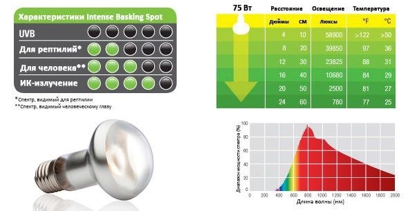 Hagen Exoterra Intense Baskimg Spot 75 Вт - лампа для принятия солнечных ванн PT-2136 - фото 19371