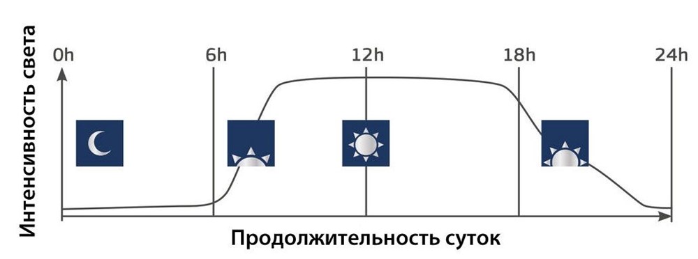 Juwel HeliaLux Day+Night Control контроллер для управления светодиодным светильником HeliaLux (НЕ SPECTRUM!) Juw-48990 - фото 20250