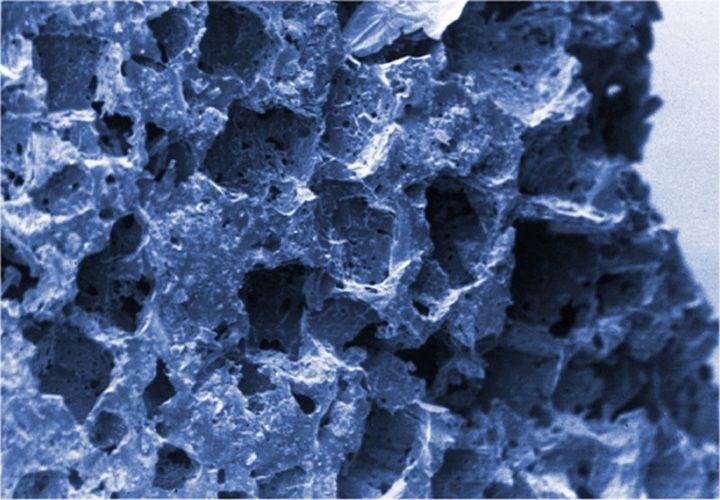 sera Siporax mini 270 г (0,6 л) S8476 - фото 21199