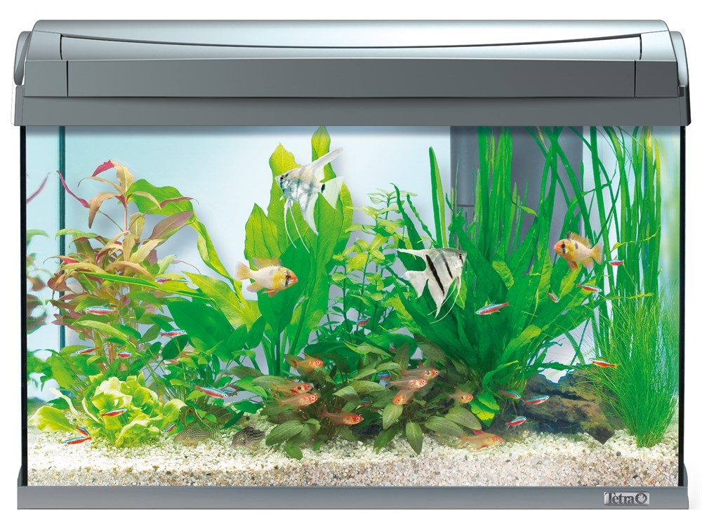 Tetra AquaArt 60 литров 151543 - фото 21710