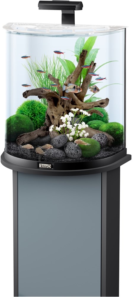 Tetra AquaArt Explorer Line 60л - аквариум со встроенным фильтром и LED-освещением Tet-236868 - фото 21727