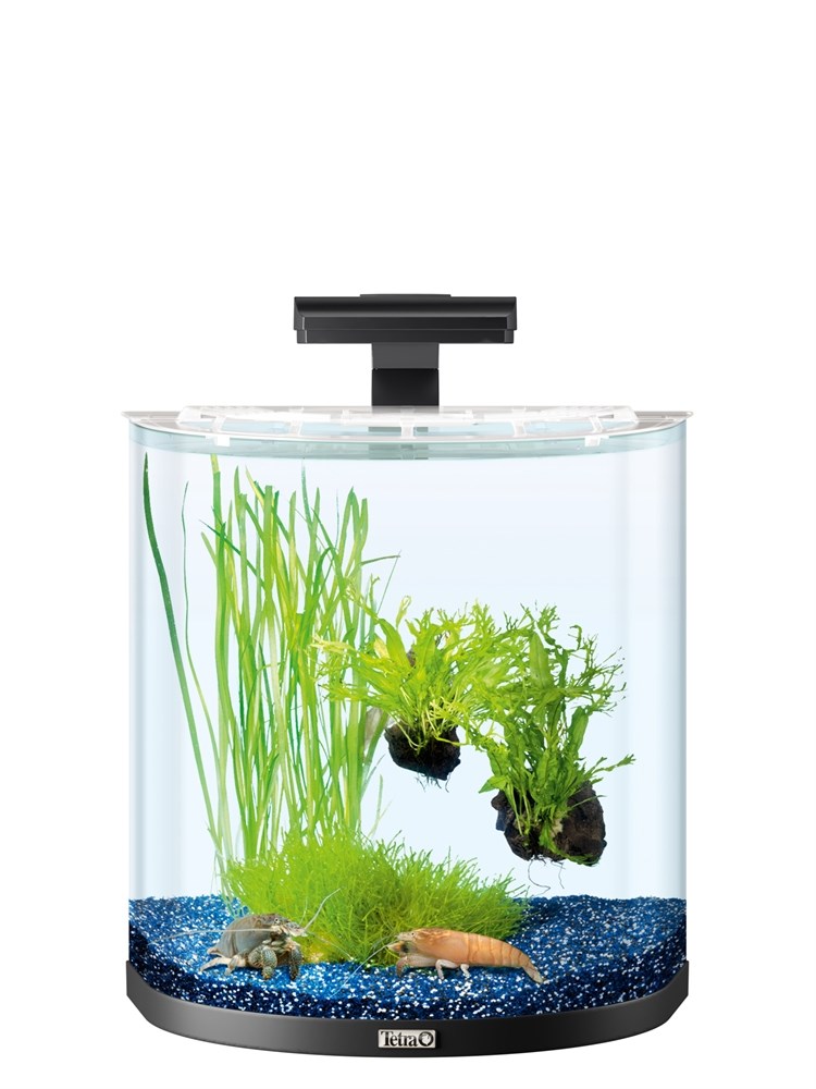 Tetra AquaArt Explorer Line Crayfish 30л аквариум со встроенным фильтром и LED-освещением 236851 - фото 21733