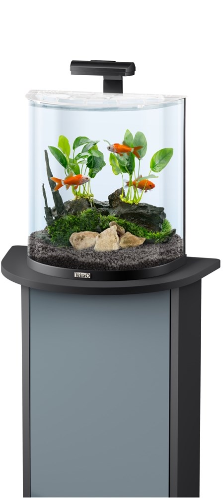 Tetra AquaArt Explorer Line Goldfish 30л аквариум со встроенным фильтром и LED-освещением 236875 - фото 21742