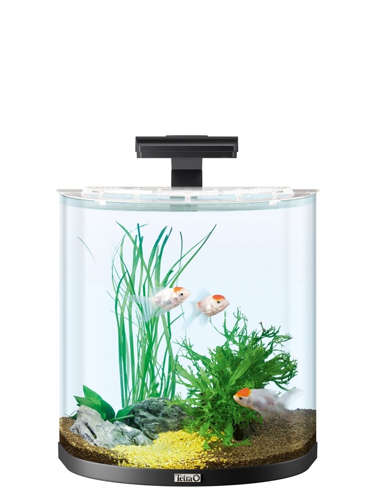 Tetra AquaArt Explorer Line Goldfish 30л аквариум со встроенным фильтром и LED-освещением 236875 - фото 21745