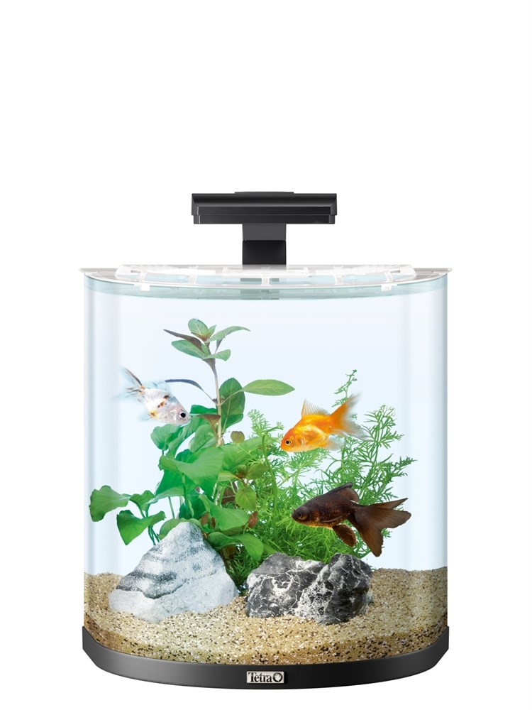 Tetra AquaArt Explorer Line Goldfish 30л аквариум со встроенным фильтром и LED-освещением 236875 - фото 21746
