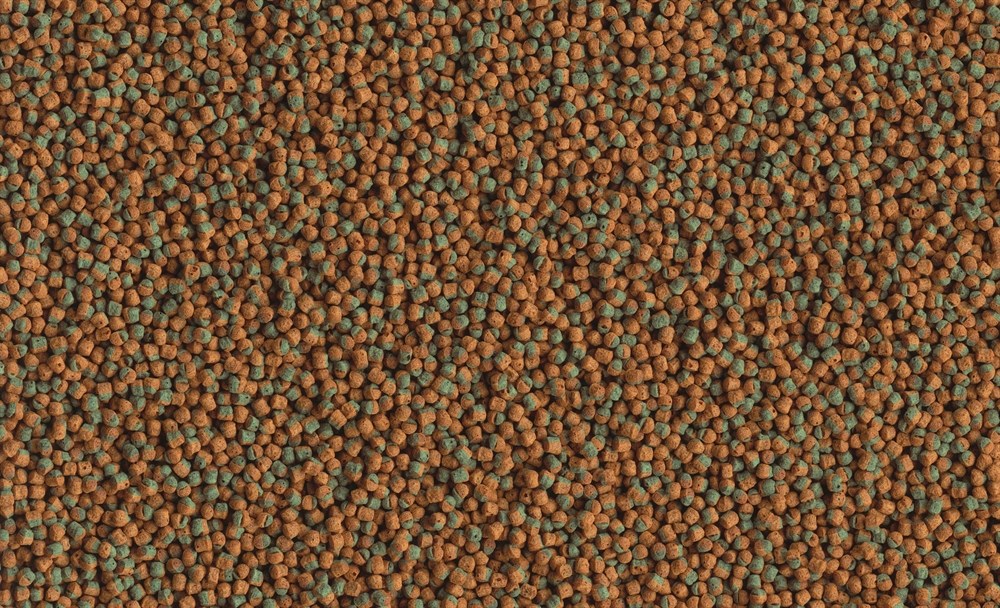 Tetra Cichlid Algae 500 мл - корм с водорослями для травоядных цихлид Tet-197466 - фото 21863