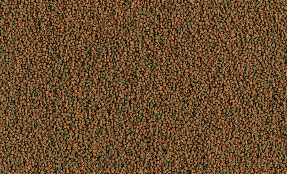 Tetra Cichlid Algae Mini 500 мл - корм с водорослями для мелких травоядных цихлид Tet-197480 - фото 21867