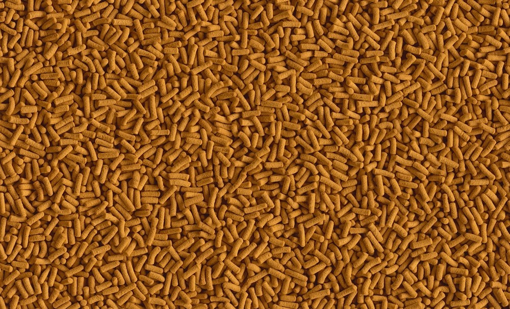 Tetra Cichlid Sticks 500 мл - основной корм для цихлид (палочки) Tet-767409 - фото 21914