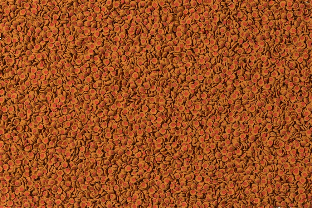 Tetra Cory ShrimpWafers 250 мл - корм для коридорасов и других донных рыб Tet-257429 - фото 21958