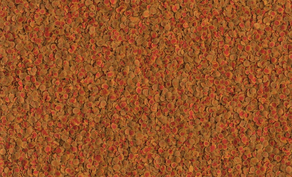 Tetra Discus Pro 500 мл - специальный корм для дискусов 197701 - фото 21994