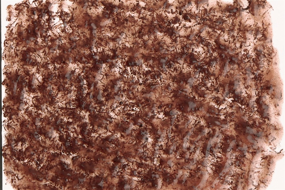 Tetra Fresh Delica Bloodworms - мотыль  48 г - корм-лакомство для рыб Tet-768741 - фото 22120