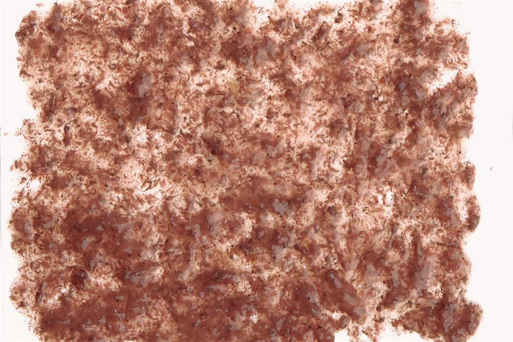 Tetra Fresh Delica Brine Shrimps - артемия 48 г - корм-лакомство для рыб Tet-768673 - фото 22126