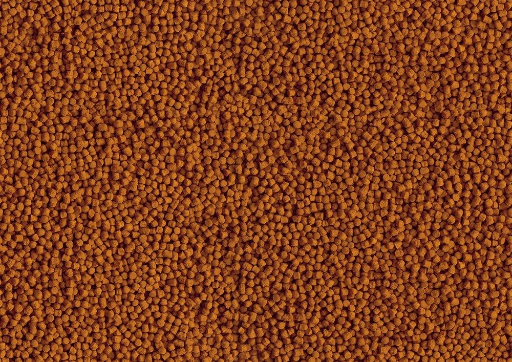 Tetra Goldfish Energy Sticks 250 мл - корм для золотых рыбок (палочки) Tet-199132 - фото 22192