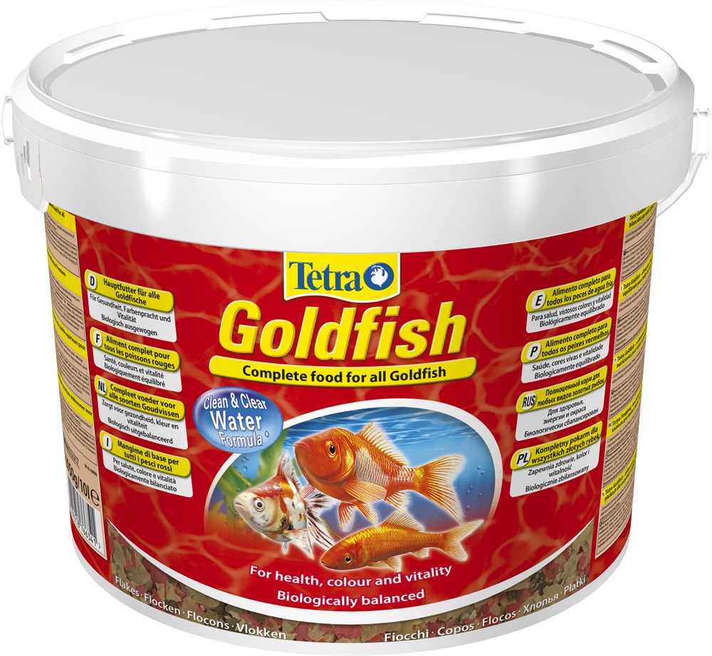 Goldfish tetra sales