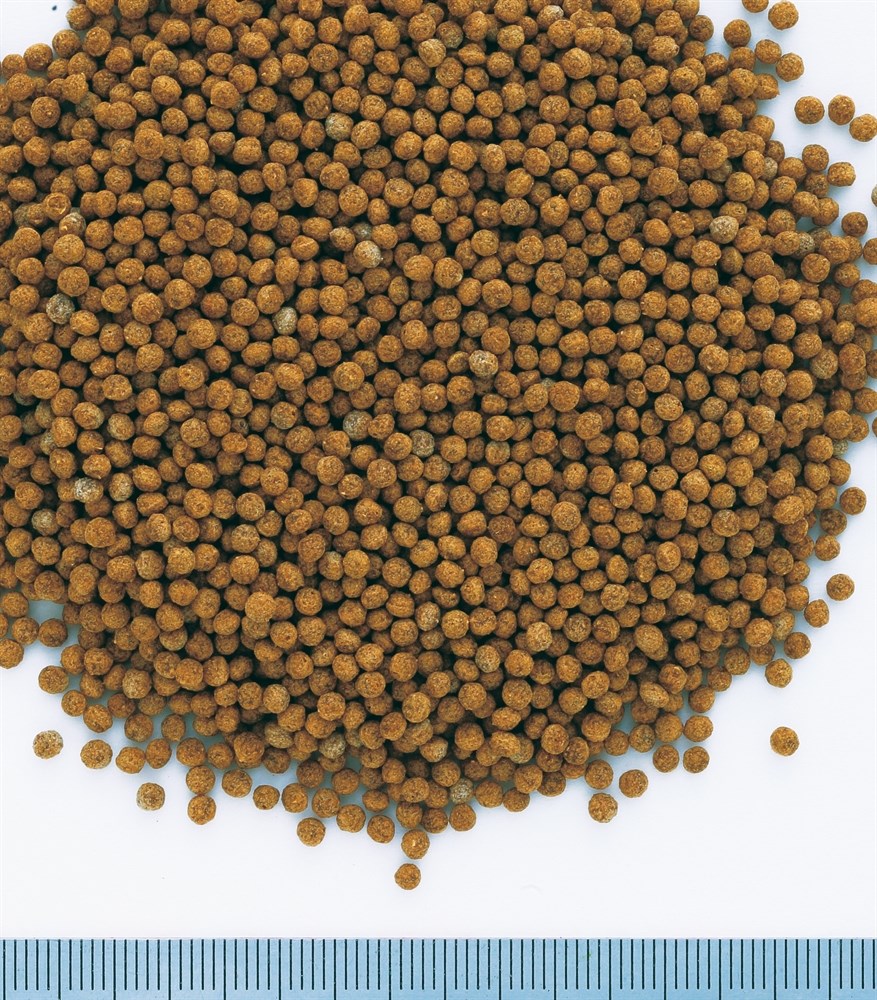 Tetra Goldfish Granules 250 мл - корм для золотых рыбок (гранулы) - просрочка 739901 - фото 22219