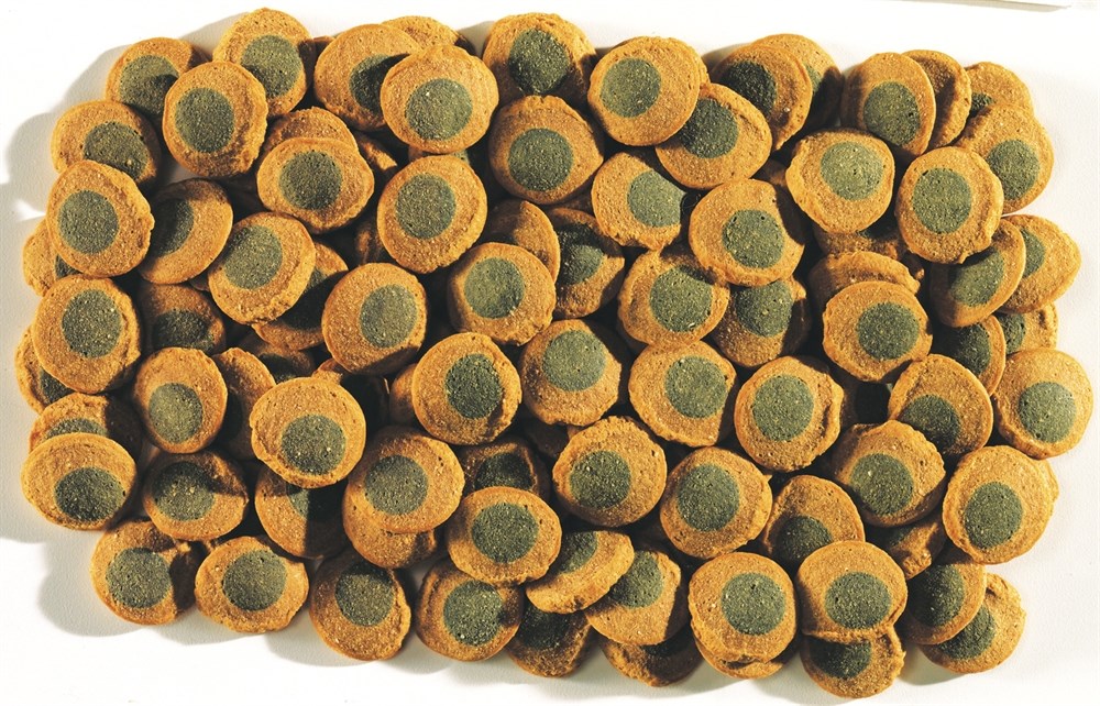 Tetra Pleco SpirulinaWafers 3.6 л - корм для крупных травоядных донных рыб Tet-193840 - фото 22535