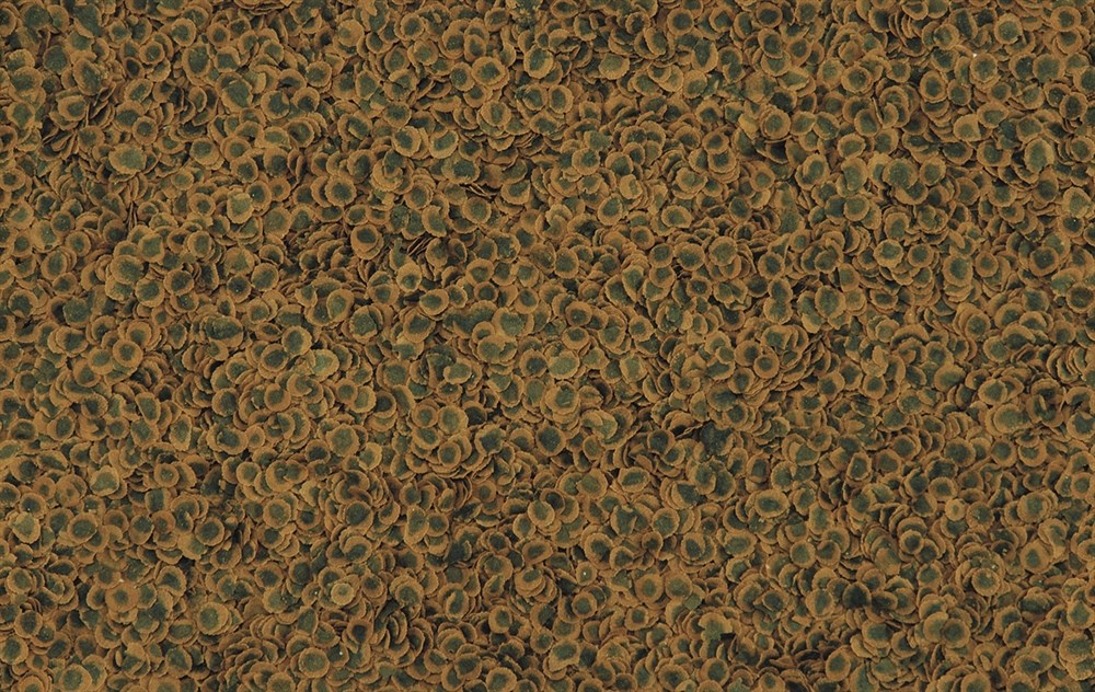 Tetra PRO Algae crisps 500 мл - корм для растительноядных рыб Tet-204492 - фото 22611