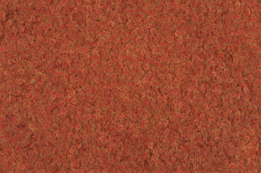 Tetra PRO Colour Crisps 250 мл - корм для улучшения окраски Tet-140677 - фото 22625