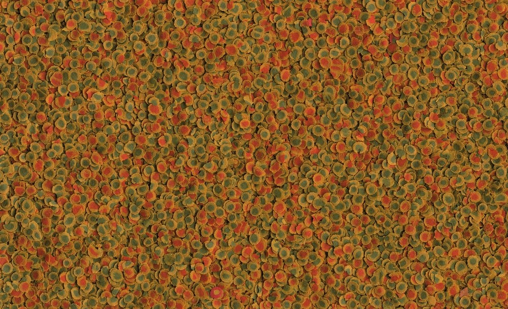 Tetra PRO Energy Crisps 100 мл - универсальный корм для рыб Tet-141711 - фото 22636