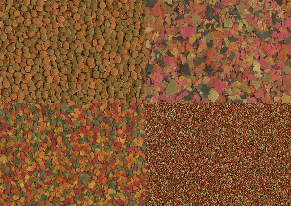 Tetra Selection 4 в 1 (250 мл) - хлопья, чипсы, гранулы, вафер микс Tet-247574 - фото 22757