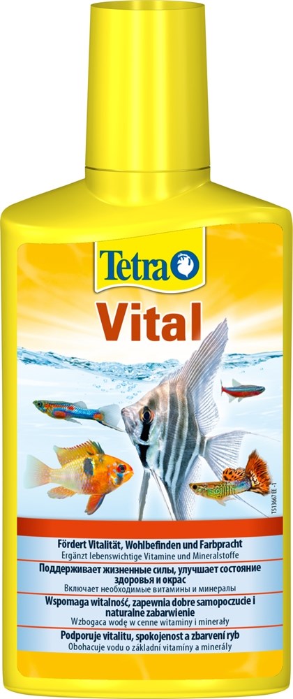 Tetra Vital  250 мл - препарат с витаминами и жизненно важными веществами для здоровья аквариумных рыб Tet-198791 - фото 22825
