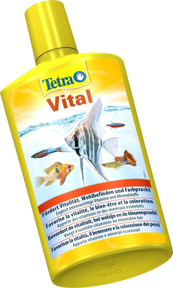 Tetra Vital 500 мл - препарат с витаминами и жизненно важными веществами для здоровья аквариумных рыб Tet-736337 - фото 22831