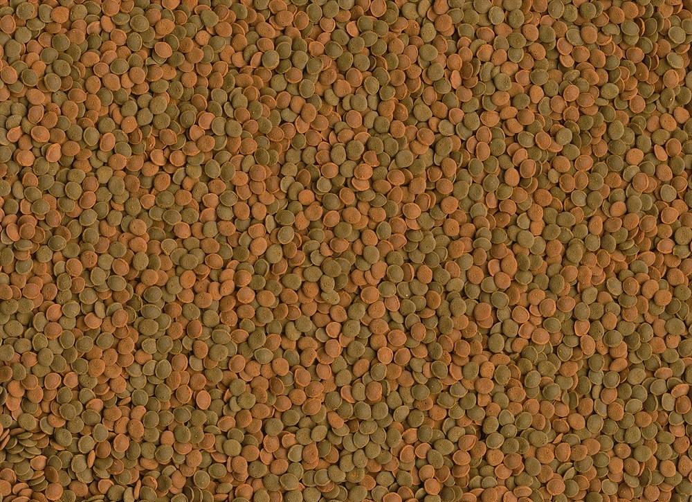 Tetra Wafer Mini Mix 100 мл - корм для мелких донных рыб и ракообразных Tet-189911 - фото 22836