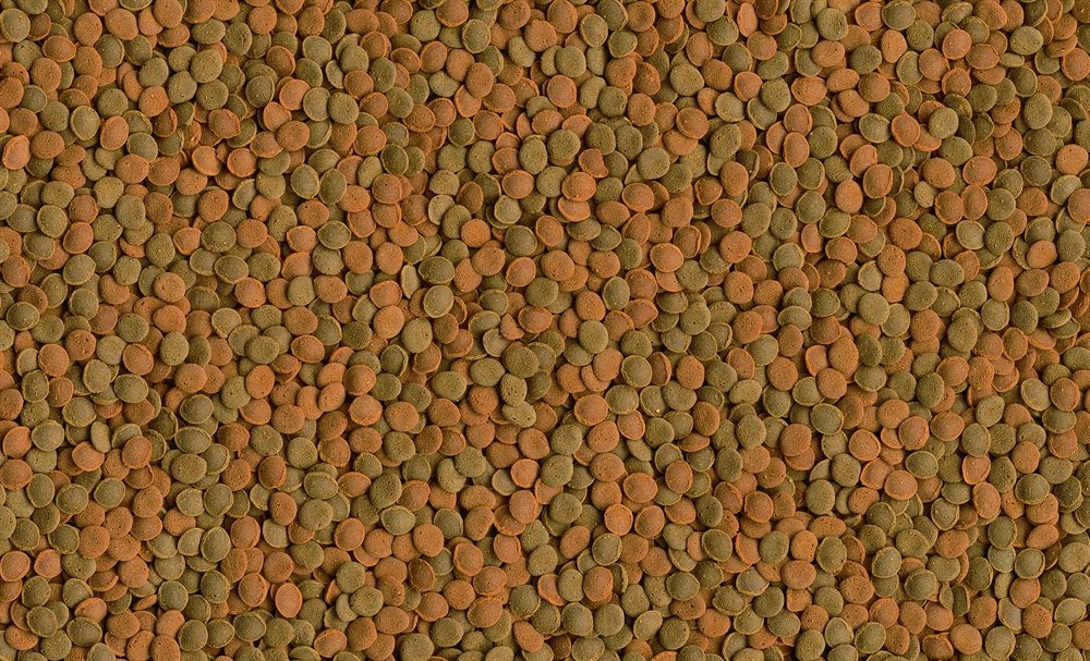 Tetra Wafer Mix 100 мл - корм для донных рыб и ракообразных Tet-140066 - фото 22845