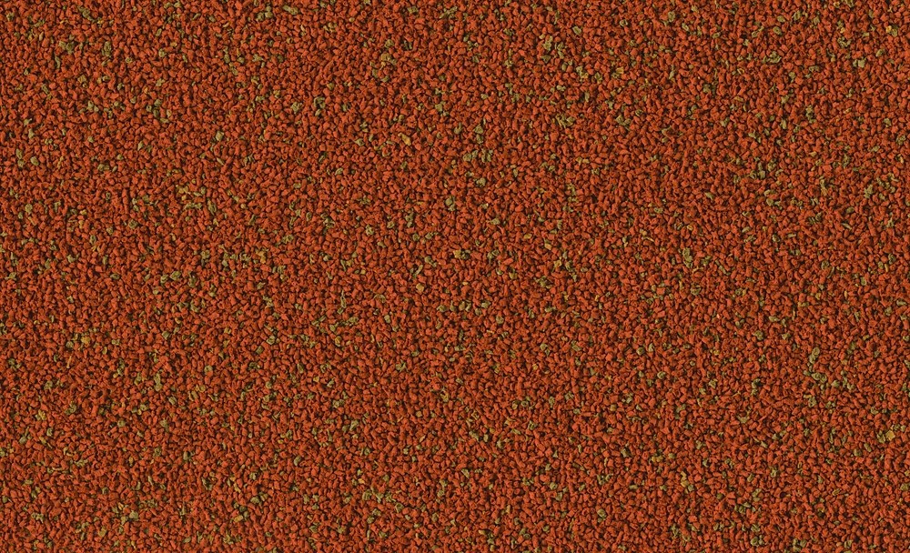 TetraMin XL Granules 10 л (ведро) - универсальный корм для рыб (крупные гранулы) Tet-201378 - фото 23077