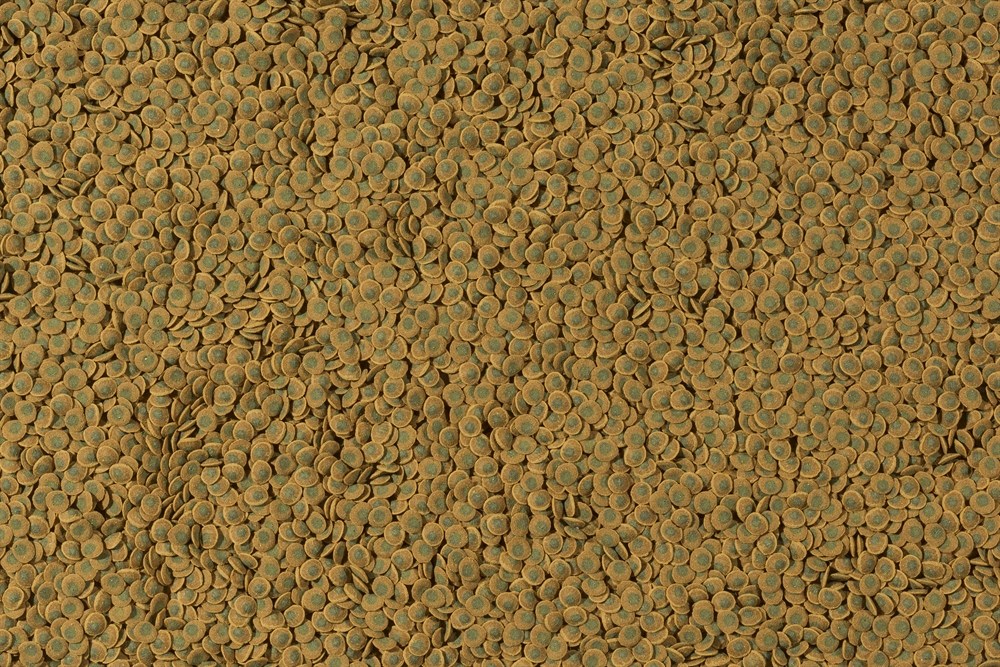 TetraPleco Veggie Wafers (пластинки) 15г - корм для растительноядных донных рыб 257313 - фото 23084