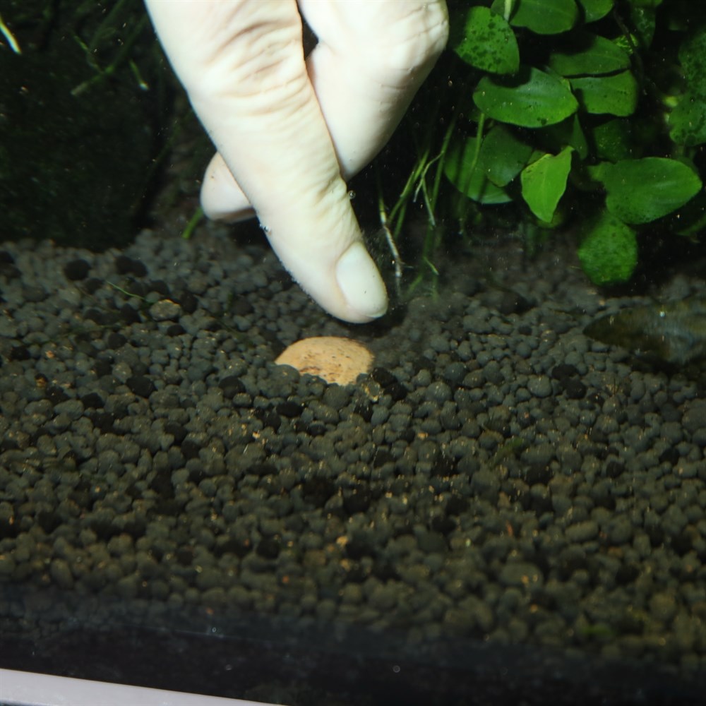 JBL Die 7 + 13  Kugeln - удобрение для растений в шариках (20 шт.) 282.2011100 - фото 23713