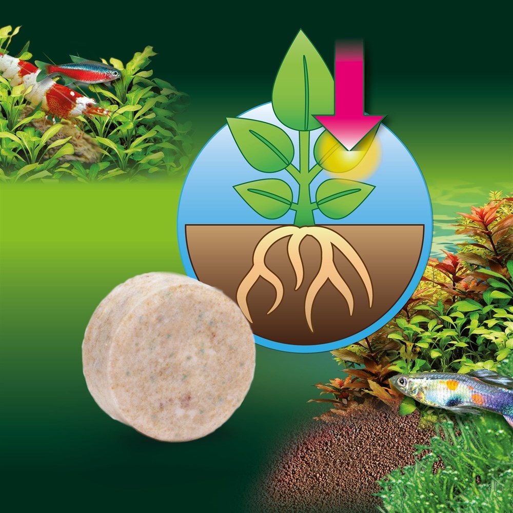 JBL Ferropol tabs 30 таб. -  удобрение для растений в таблетках с железом 282.2020000 - фото 23721