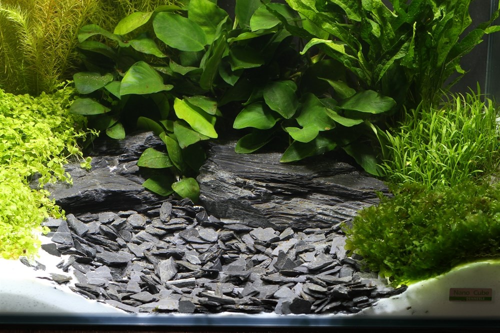 Dennerle Plantahunter Baikal 10-30 мм, 5кг - черный природный грунт Den-6910 - фото 24717