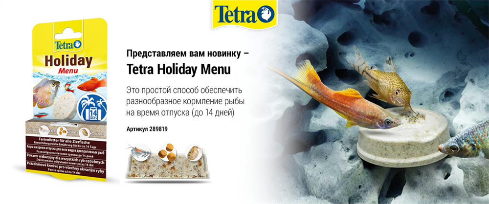 Tetra Holiday Menu (брикет желе)  30г - корм продленного действия для всех видов аквариумных рыб на время отъезда Tet-289819 - фото 24743
