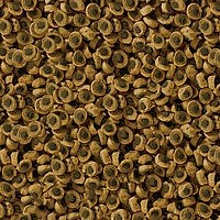 sera Reptil Professional Herbivor Nature 1000 мл - корм для травоядных рептилий S1812 - фото 25007