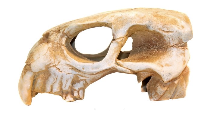 Deksi грот "Динозавр" №1001 (20x10x10 см) DEK-1001 - фото 25061