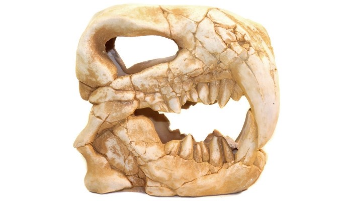 Deksi грот "Динозавр" №1002 (20x10x19 см) DEK-1002 - фото 25064